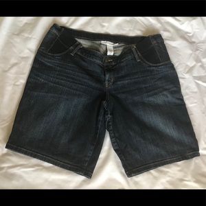 LizLange Maternity Bermuda